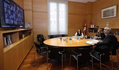 Un moment de ple telemàtic celebrat ahir (Imatge: Cristina Diestro)