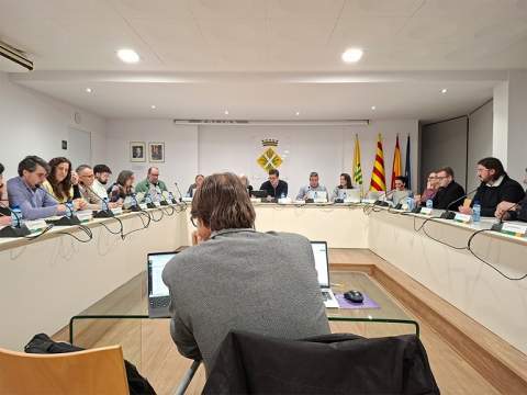 El ple municipal aprova el Pla d’Acció Cultural