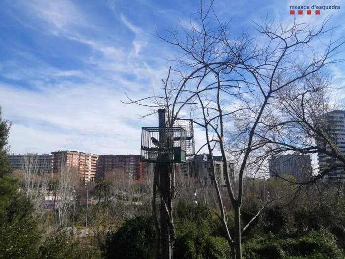 [Img #35546]