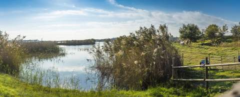 Les entitats demanen més protecció per al delta del Llobregat (Fotografia: Consorci de Turisme del Baix Llobregat))