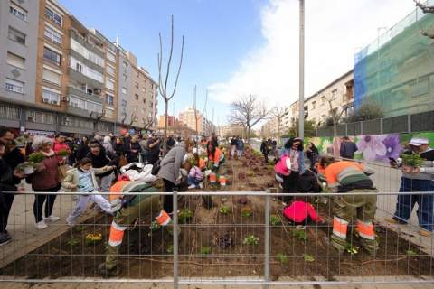 El veïnat participa en una plantació comunitària a l’avinguda de la Primavera