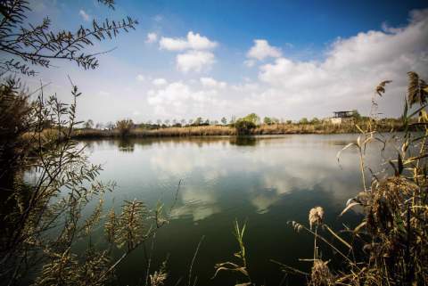 Espacios naturales del Delta (Fotografía: Ayuntamiento de El Prat)