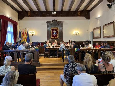 Moment del ple municipal celebrat dimecres (Fotografia: Ajuntament d'Esplugues)