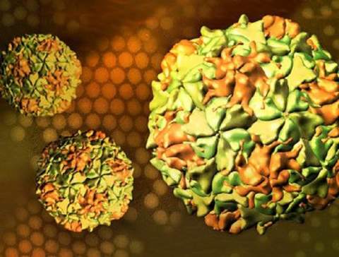Salut detecta la presència del virus de la pòlio en aigües residuals del Baix Llobregat