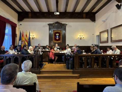 Els plens municipals d'Esplugues i l'Hospitalet donen llum verda al Consorci del Clínic