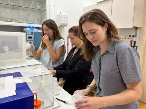 Projecte pioner per identificar mosquits amb intel·ligència artificial