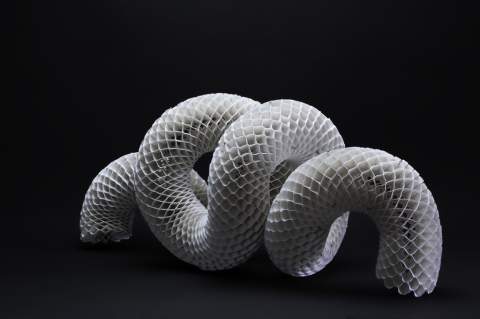 Surface-Morphed