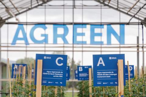 Aigües de Barcelona i la UPC mostren el valor de l’aigua regenerada per a l’agricultura