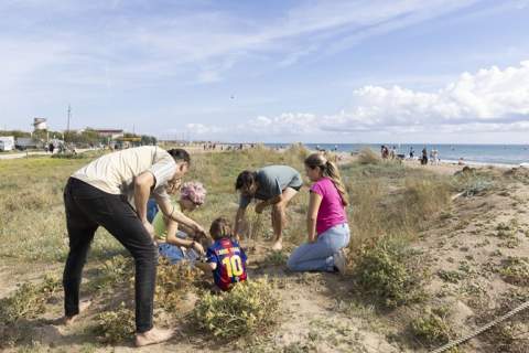 El projecte BioPlatgesMet permet observar gairebé 700 espècies a les platges metropolitanes