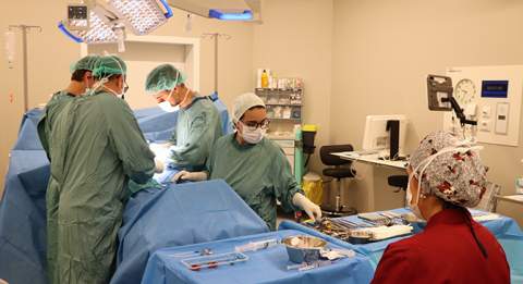 L'Hospitalet de Viladecans ofereix la pròtesi de penis com a última alternativa terapèutica de la disfunció erèctil