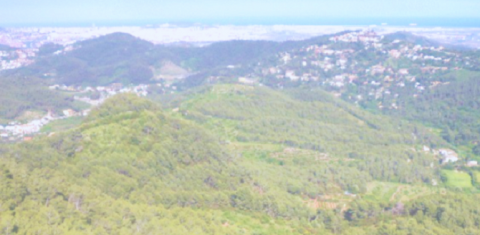 El Baix Llobregat impulsa un projecte per fer de la gestió forestal una eina per a la prevenció d’incendis