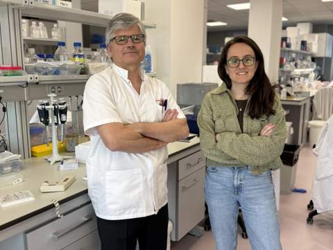 Demostrada l’eficàcia d’un fàrmac en models preclínics per frenar el creixement d’un tipus de càncer infantil minoritari